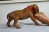 img_8265_small.jpg