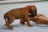 img_8266_small.jpg