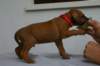 img_8268_small.jpg