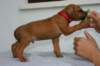 img_8269_small.jpg