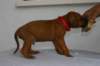 img_8270_small.jpg