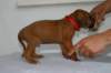 img_8271_small.jpg