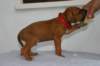 img_8272_small.jpg
