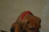img_8279_small.jpg
