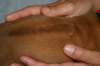 img_8282_small.jpg