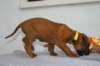 img_8292_small.jpg
