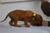 img_8293_small.jpg
