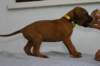 img_8294_small.jpg