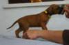 img_8296_small.jpg