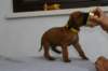 img_8297_small.jpg