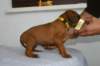 img_8301_small.jpg