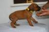 img_8303_small.jpg