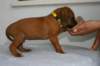 img_8304_small.jpg