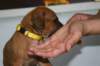 img_8307_small.jpg