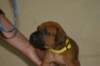img_8311_small.jpg