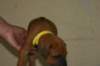 img_8312_small.jpg