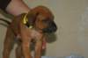 img_8314_small.jpg