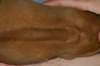 img_8318_small.jpg