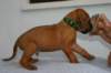 img_8322_small.jpg