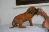 img_8323_small.jpg