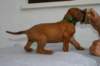 img_8326_small.jpg