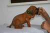 img_8327_small.jpg