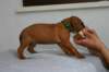 img_8332_small.jpg