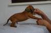 img_8335_small.jpg