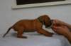img_8336_small.jpg