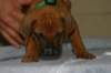 img_8337_small.jpg