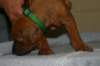 img_8341_small.jpg