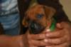 img_8347_small.jpg