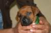 img_8348_small.jpg