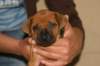 img_8350_small.jpg