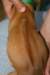 img_8351_small.jpg