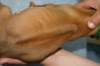 img_8353_small.jpg