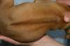 img_8354_small.jpg