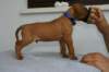 img_8356_small.jpg