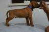 img_8357_small.jpg