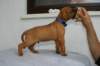 img_8358_small.jpg