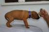 img_8360_small.jpg