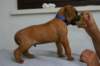 img_8361_small.jpg