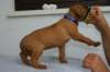 img_8362_small.jpg