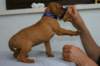 img_8363_small.jpg