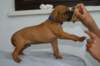 img_8364_small.jpg