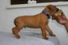 img_8365_small.jpg