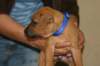 img_8367_small.jpg