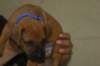 img_8368_small.jpg