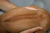 img_8376_small.jpg