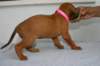 img_8378_small.jpg